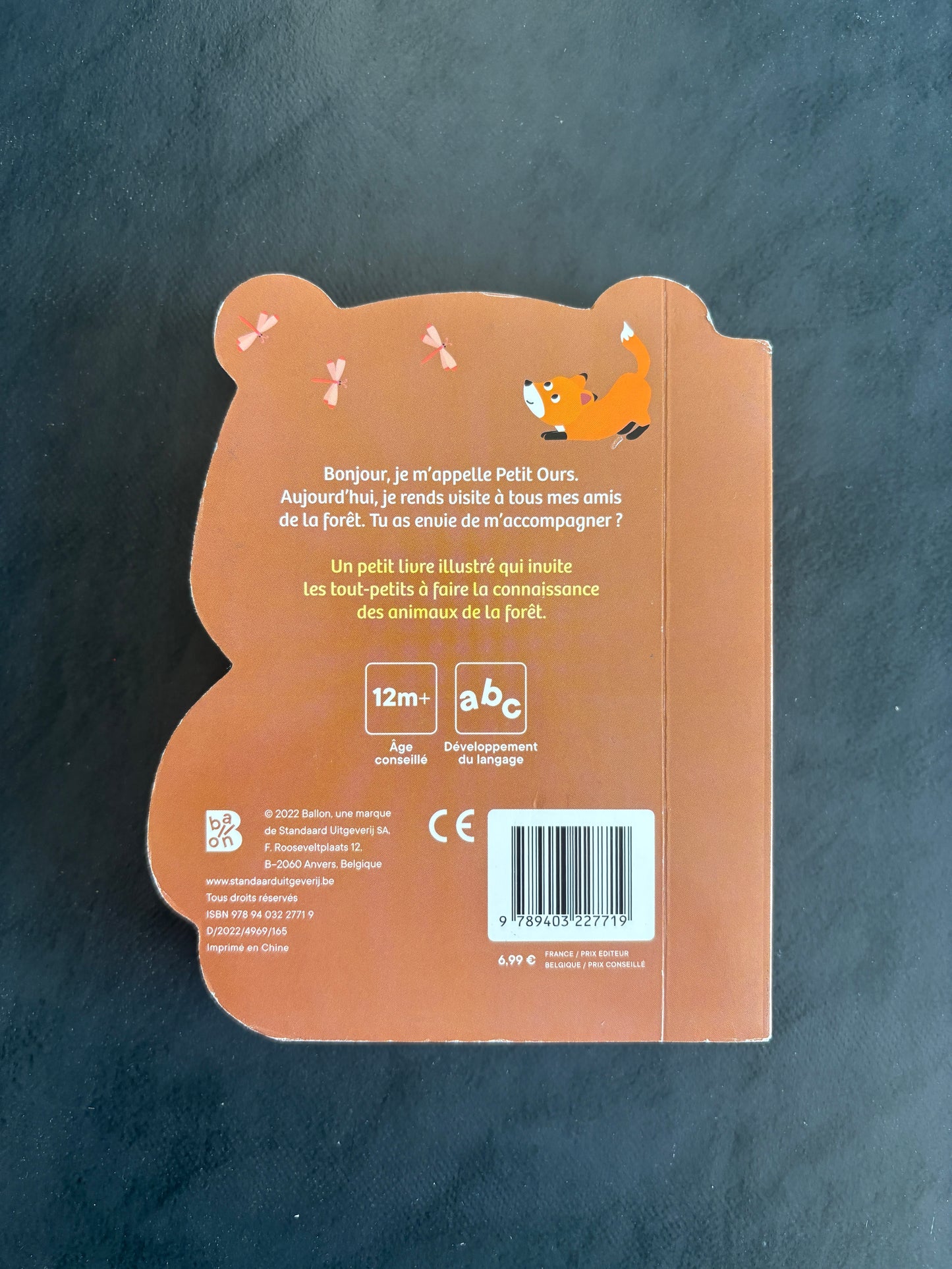 Livre cartonné - à l'aventure avec petit ours