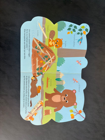 Livre cartonné - à l'aventure avec petit ours