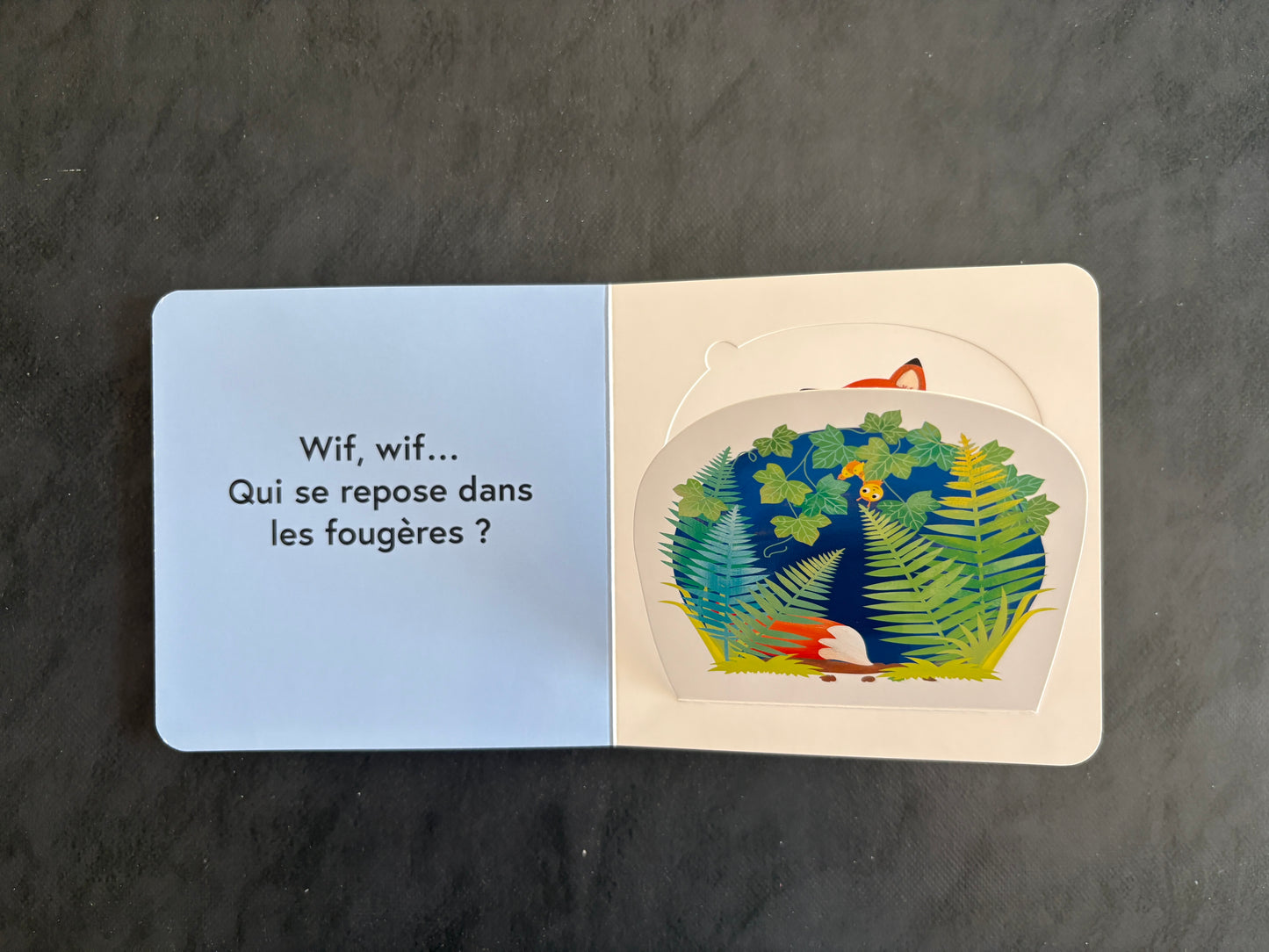 Livre cartonné - les animaux de la forêt