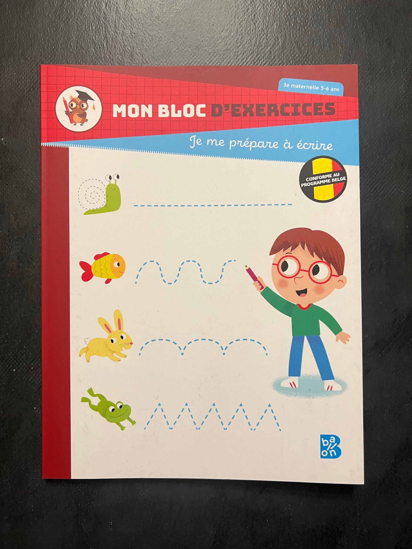 Cahier d'exercices - Je me prépare à écrire (5-6 ans)