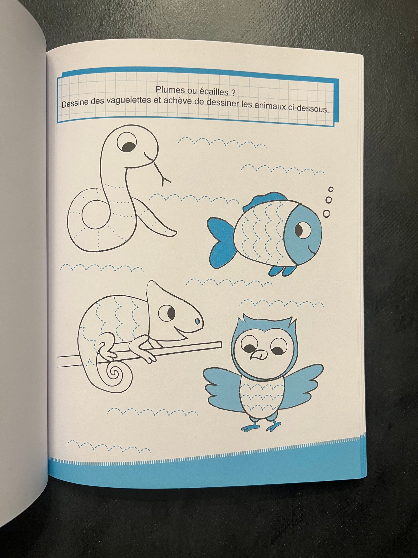 Cahier d'exercices - Je me prépare à écrire (5-6 ans)