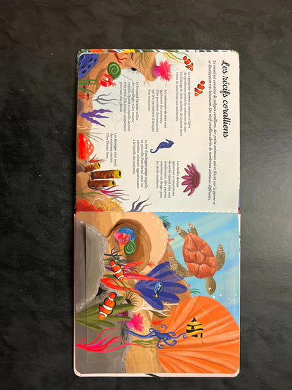 Livre à volets - je découvre la nature