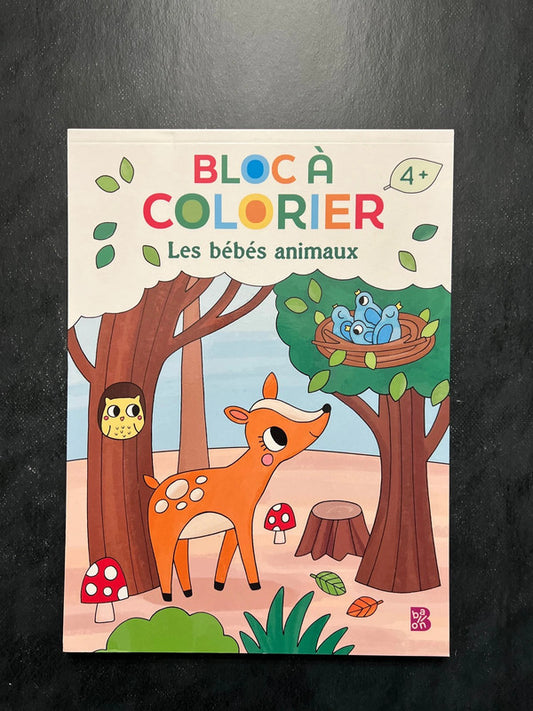 Bloc à colorier - les bébés animaux