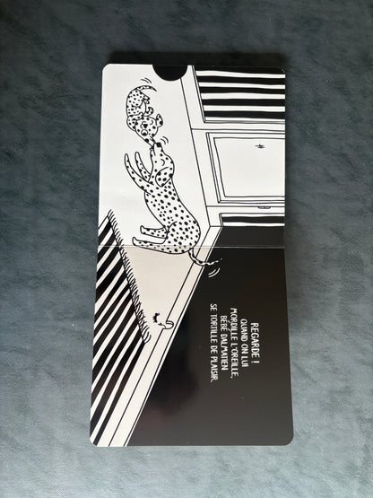 Coucou bébé, regarde !