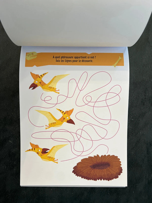 Mon bloc de jeux - les dinosaures