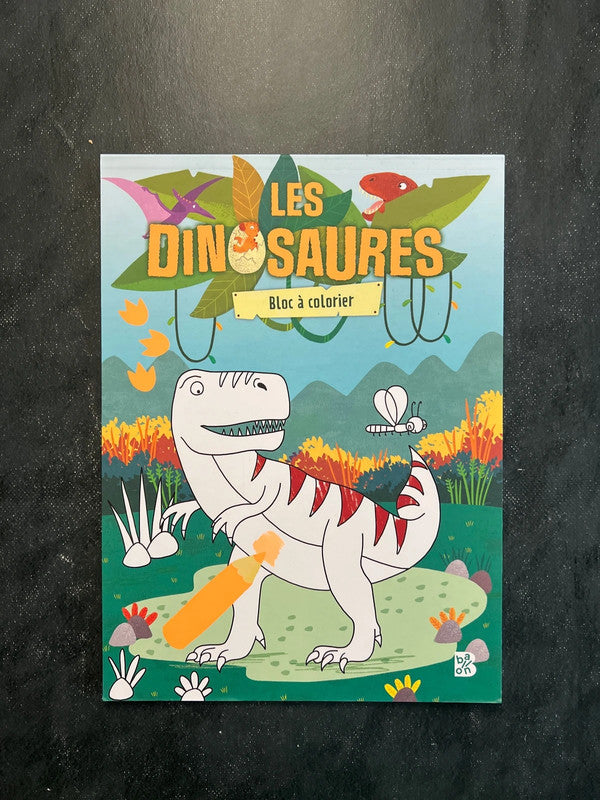 Bloc à colorier - les dinosaures