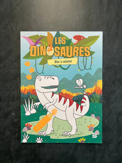Bloc à colorier - les dinosaures