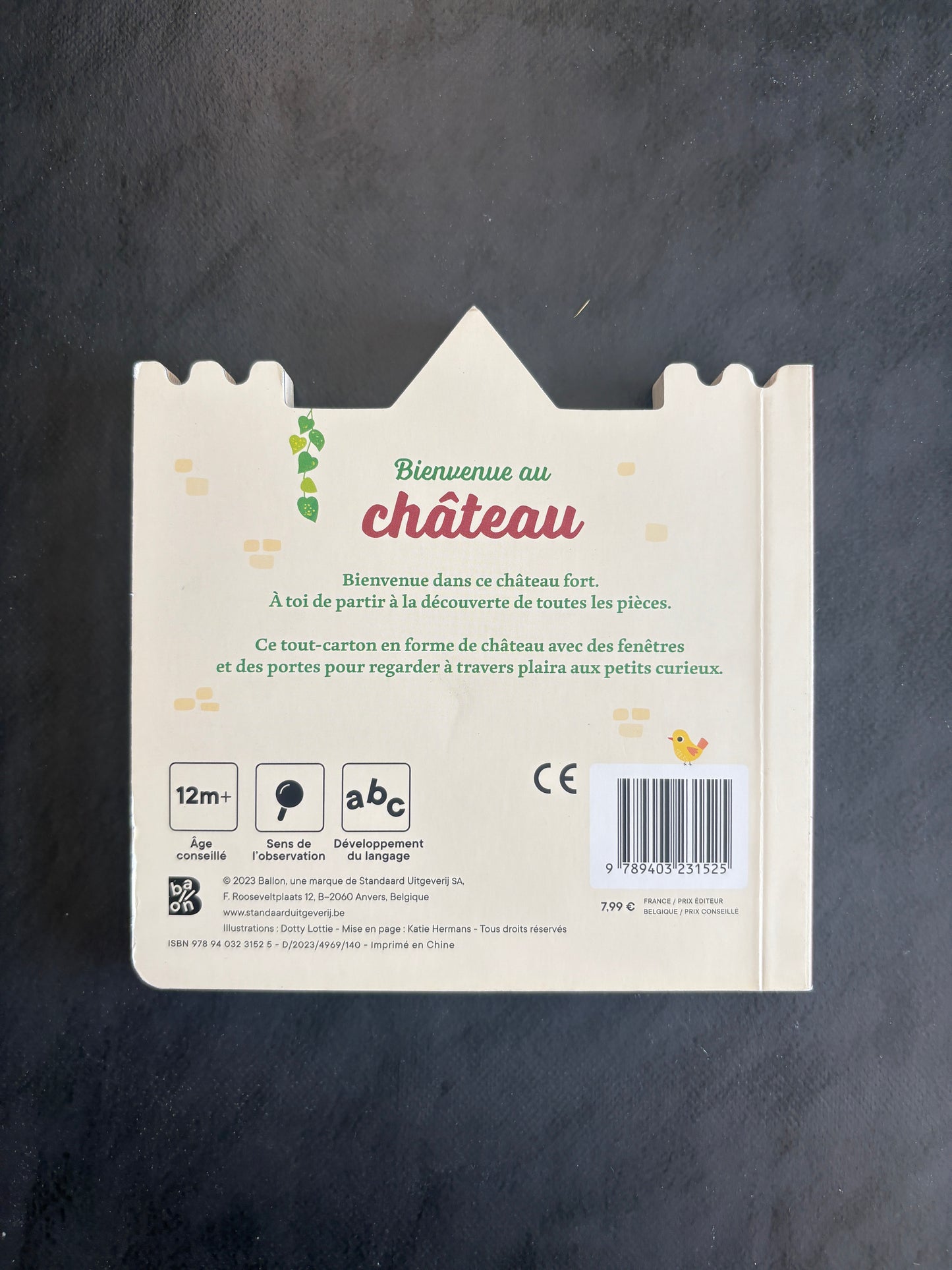 Livre cartonné - bienvenue au château