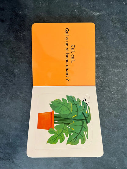 Qui se cache ? Les animaux familiers