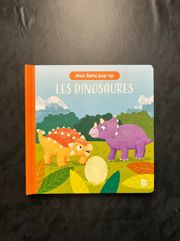 Livre en relief - les dinosaures