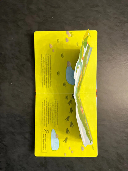 Livre en relief - les dinosaures