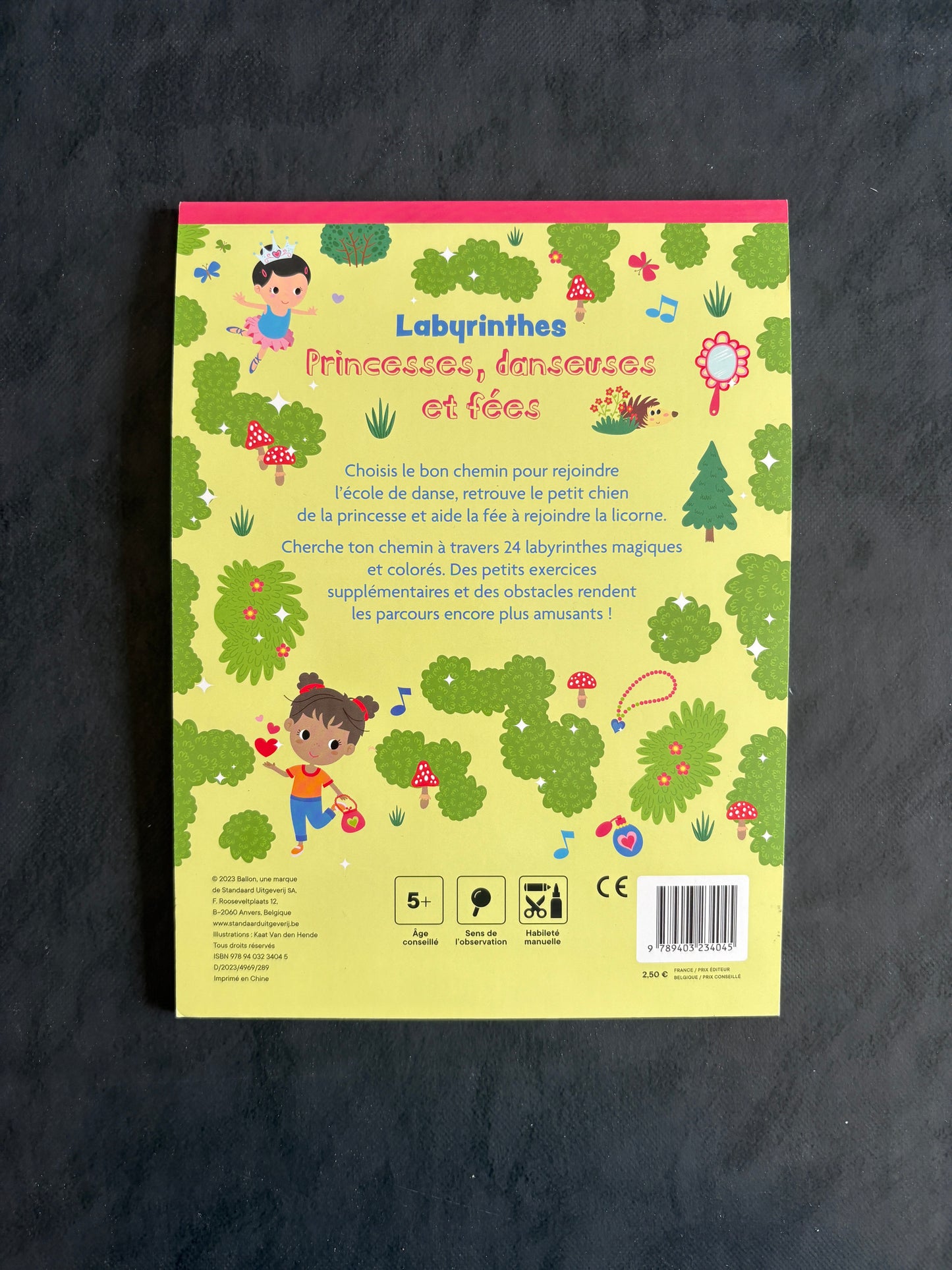 Livre Labyrinthes - Princesse, danseuses et fées - Dès 5 ans