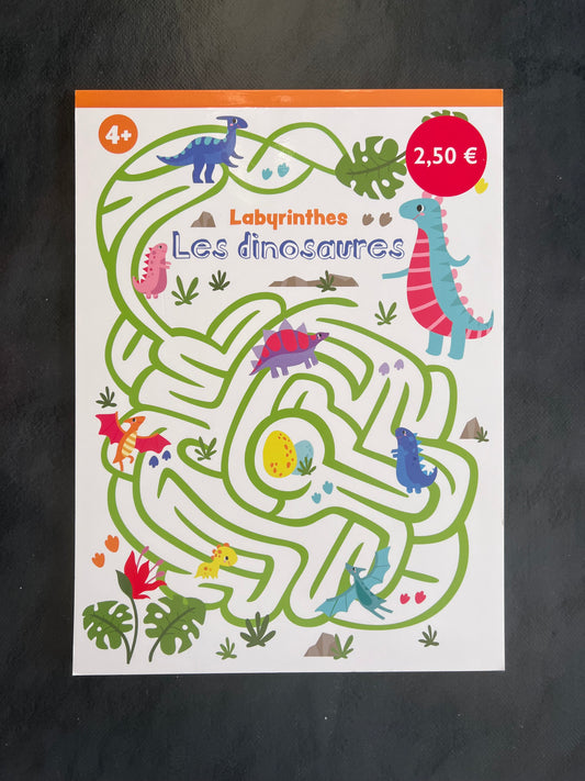 Livre Labyrinthes - les dinosaures