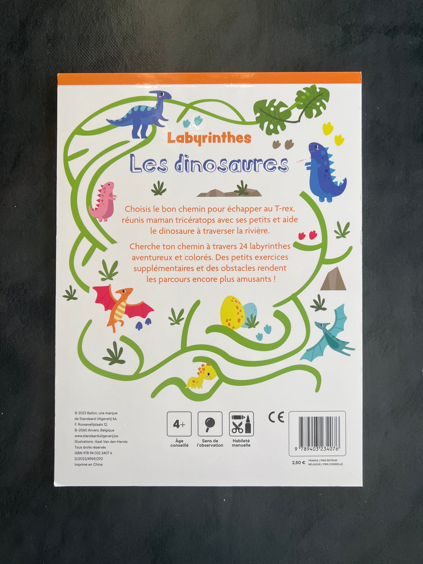 Livre Labyrinthes - les dinosaures