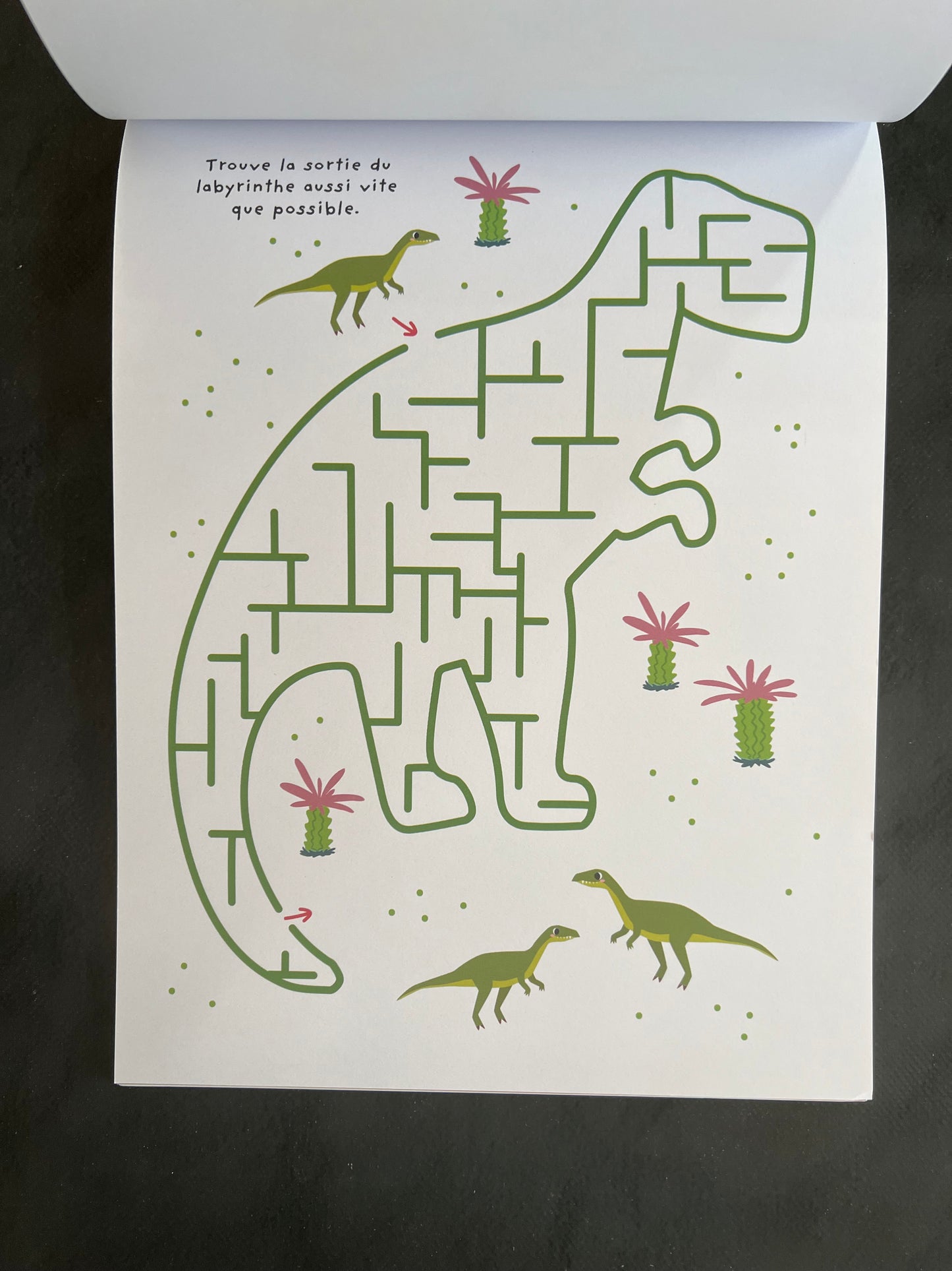 Livre Labyrinthes - les dinosaures