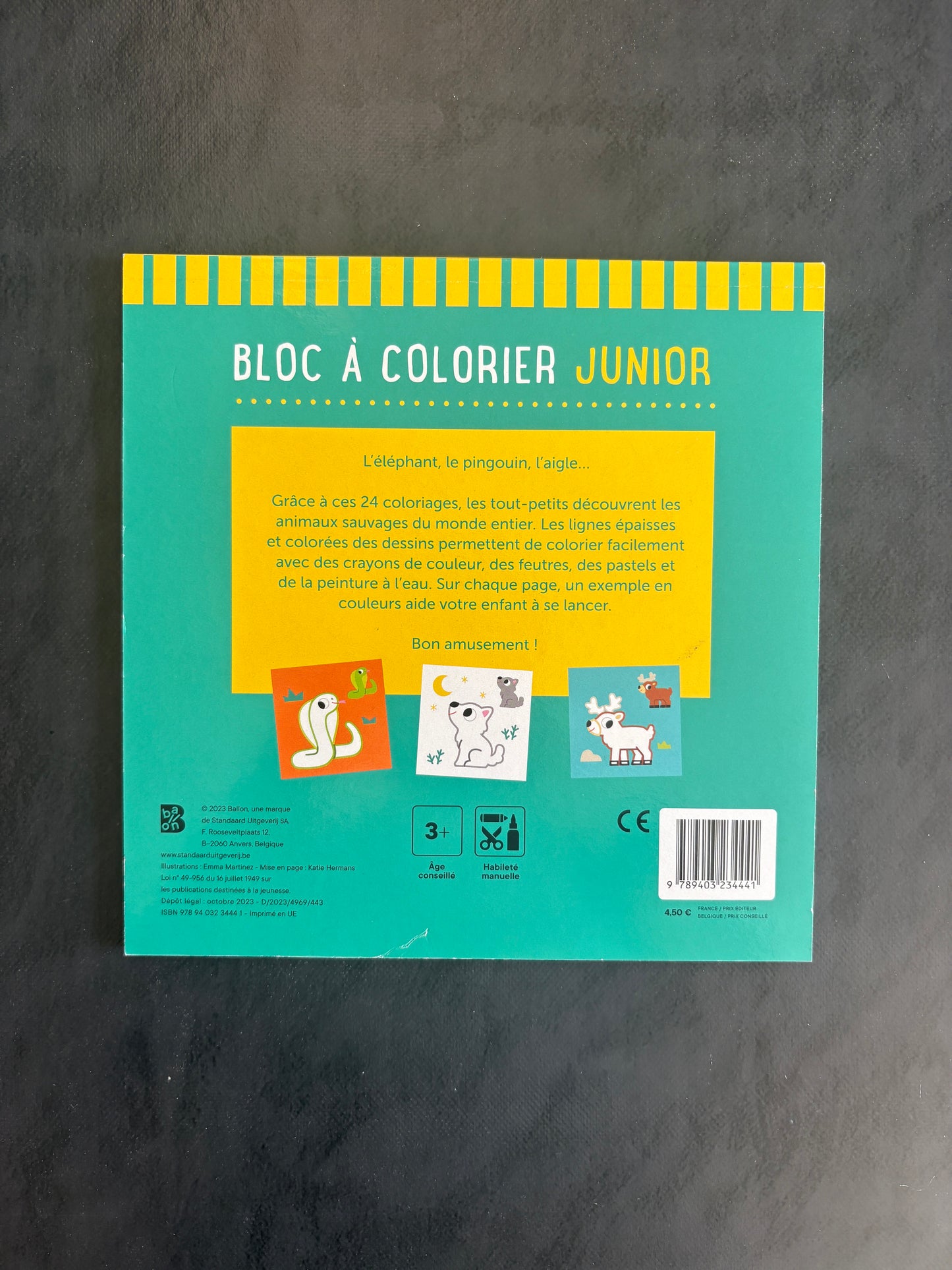 Bloc à colorier junior - les animaux sauvages