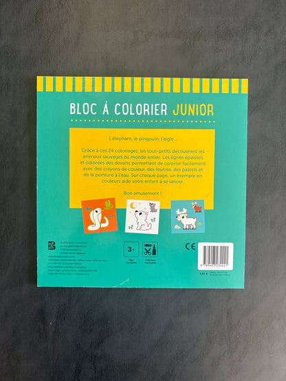 Bloc à colorier junior - les animaux sauvages