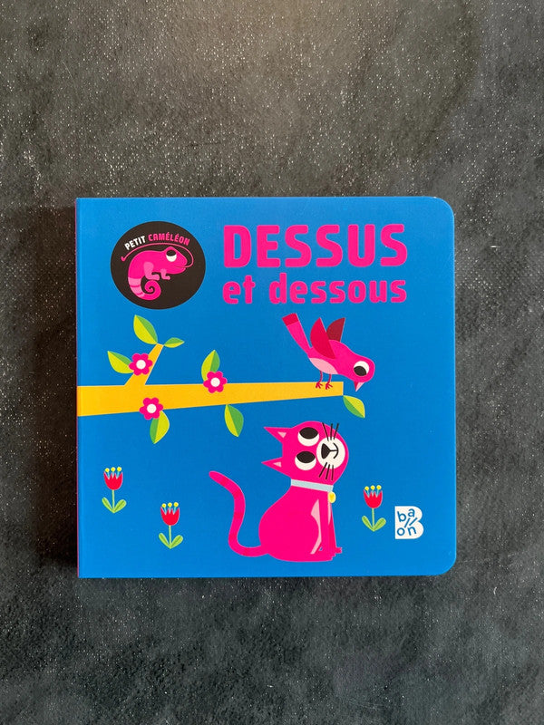 Livre cartonné - dessus et dessous