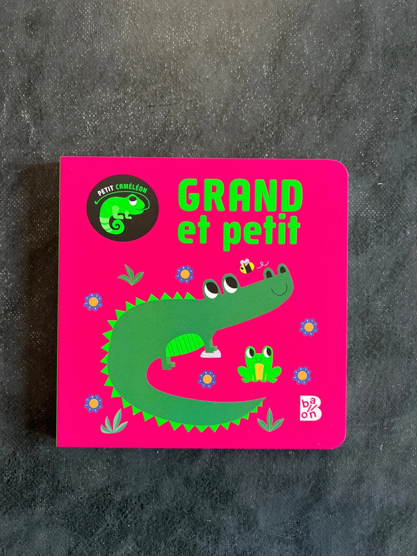 Livre cartonné - grand et petit