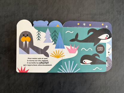 Livre à toucher - Les animaux de la Banquise