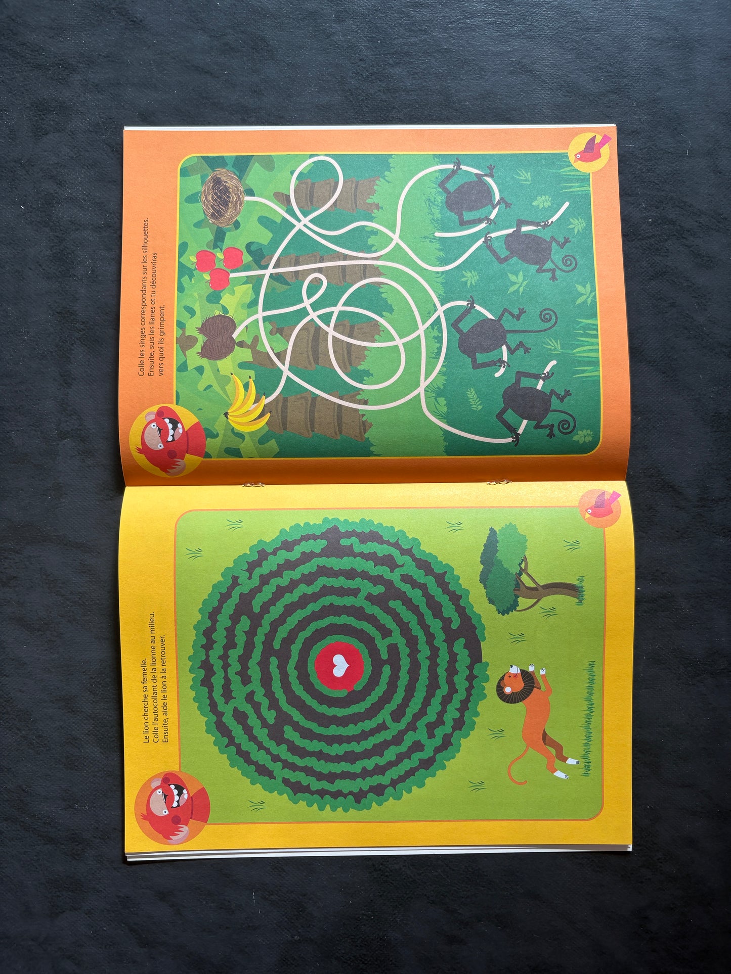 Animaux en folie - délire dans la jungle