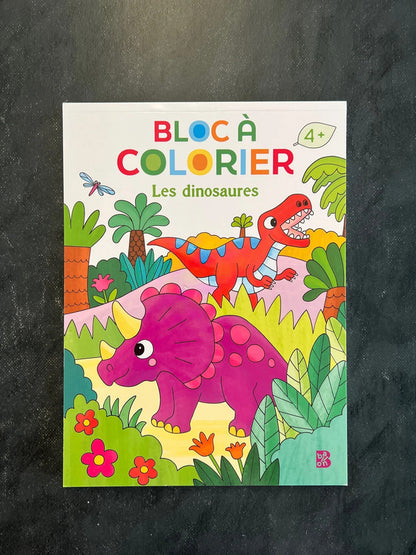 Bloc à colorier - les dinosaures
