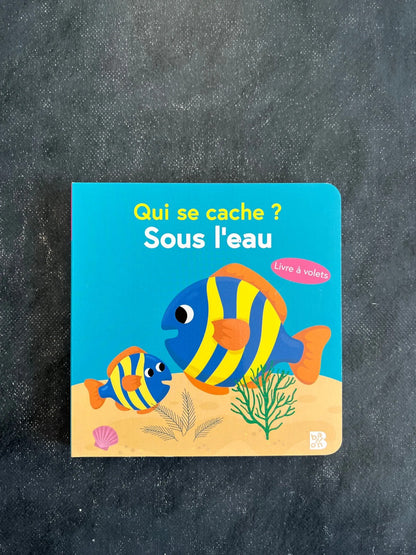 Qui se cache ? Sous l’océan