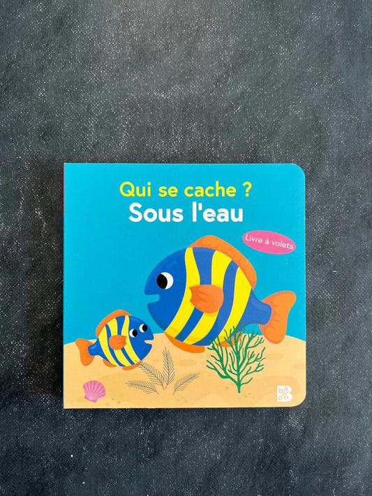 Qui se cache ? Sous l’océan