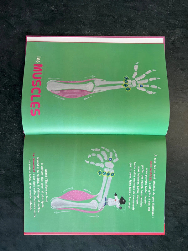 Scan, organe, crâne, t’es pas un âne !