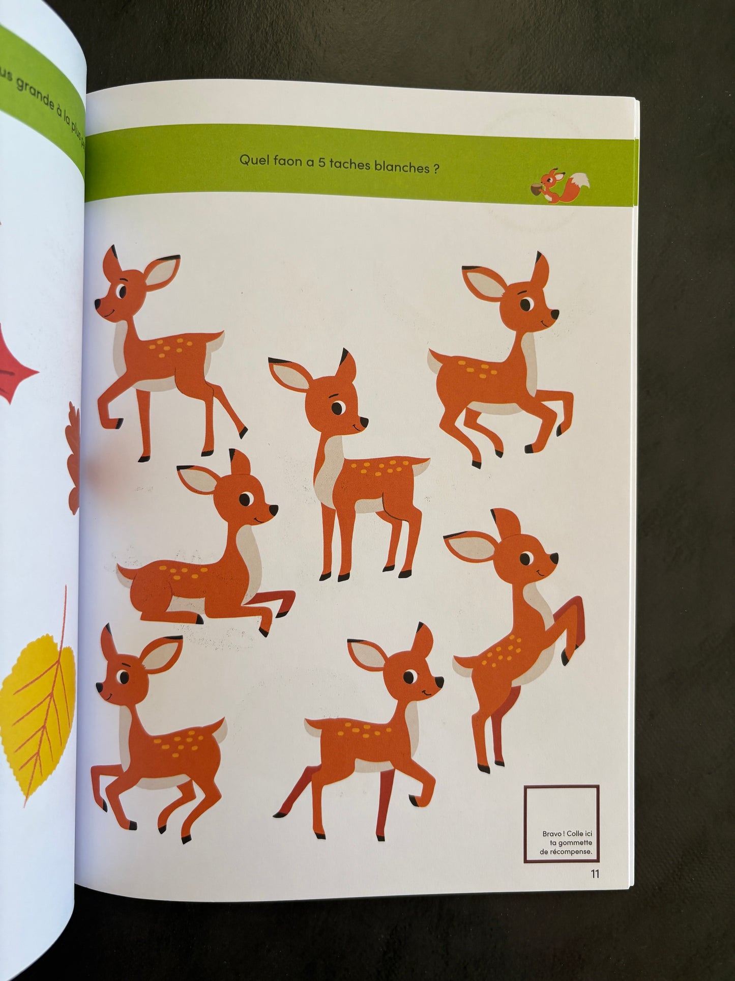 Je découvre - la forêt