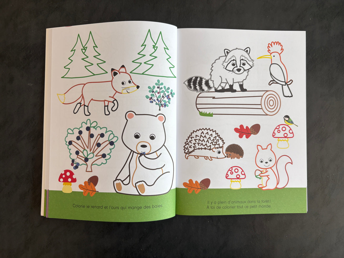 Livre de coloriage - dès 5 ans