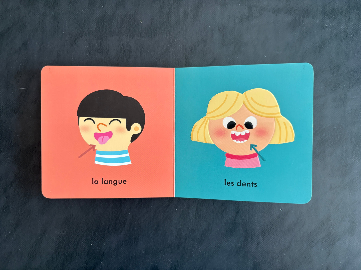 Livre cartonné - mon corps