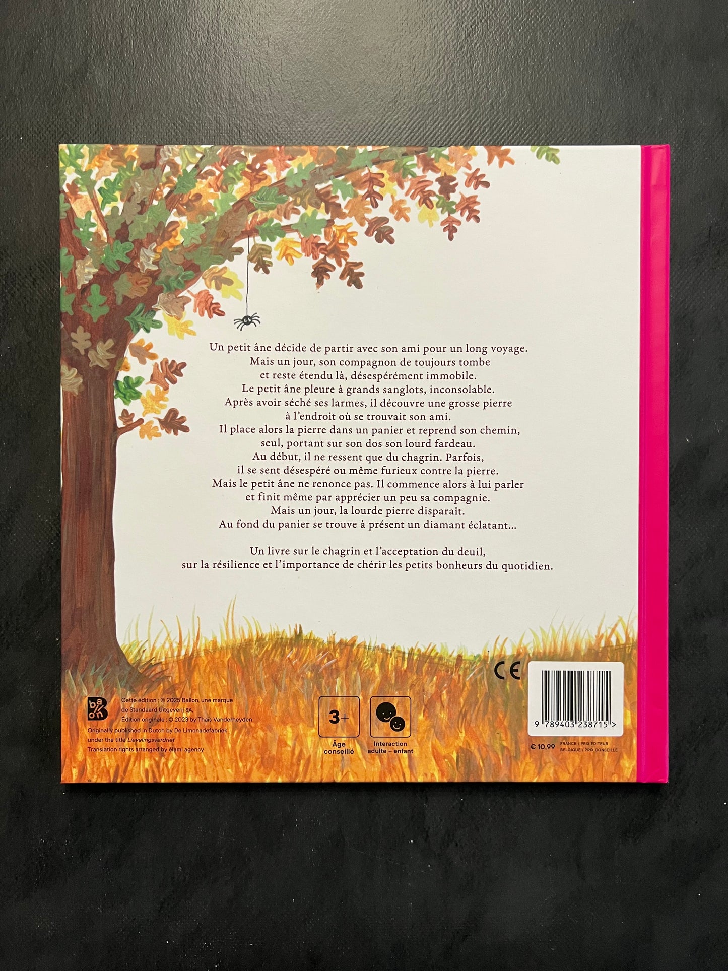 Un précieux chagrin