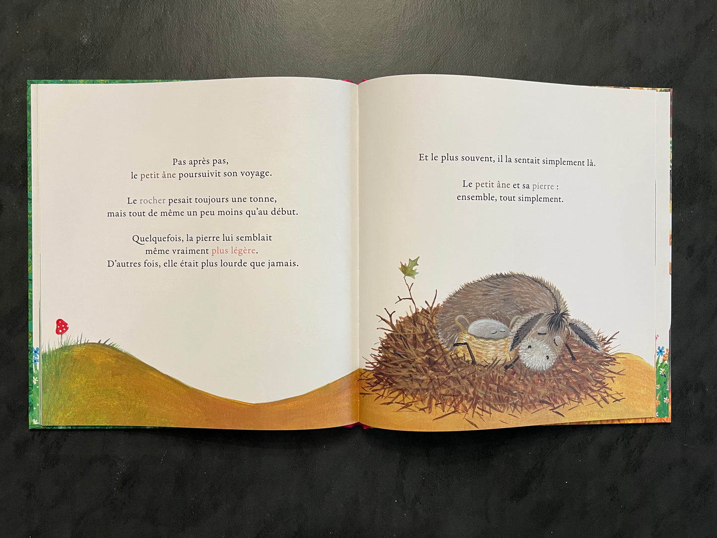 Un précieux chagrin