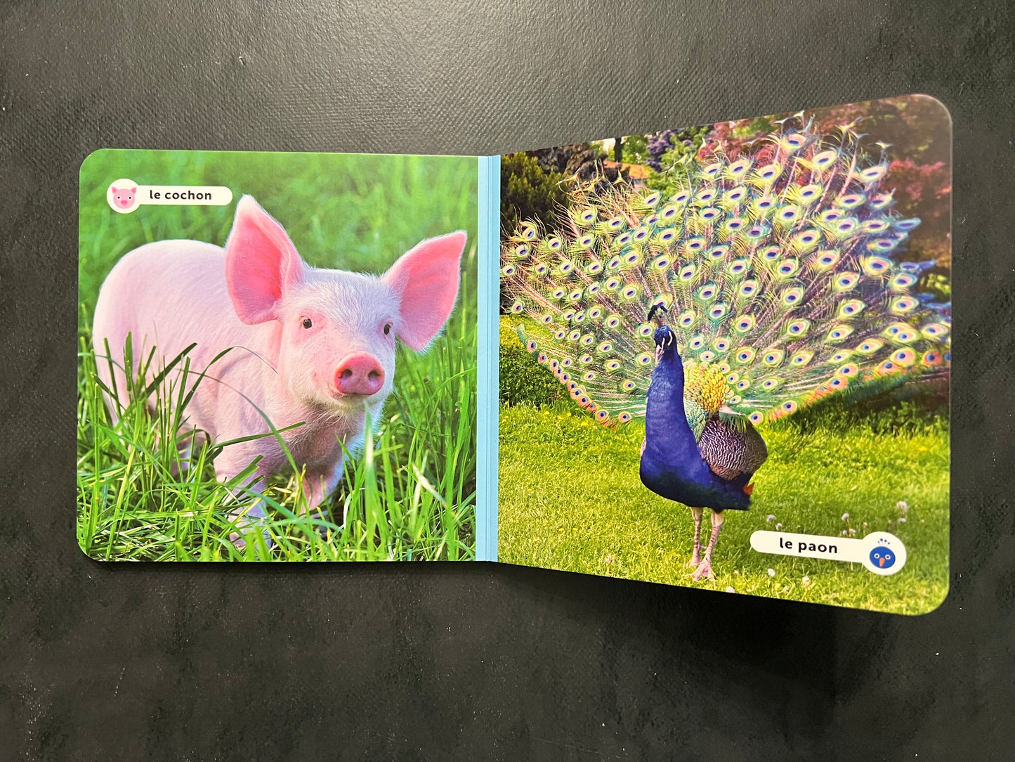 Livre cartonné - mes amis les animaux - la ferme