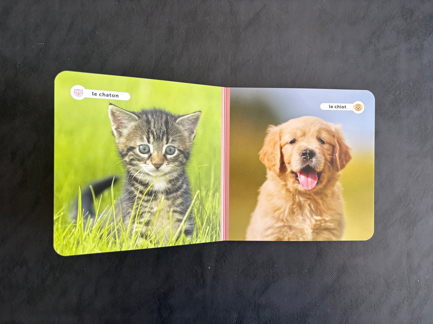 Livre cartonné - Les animaux domestiques