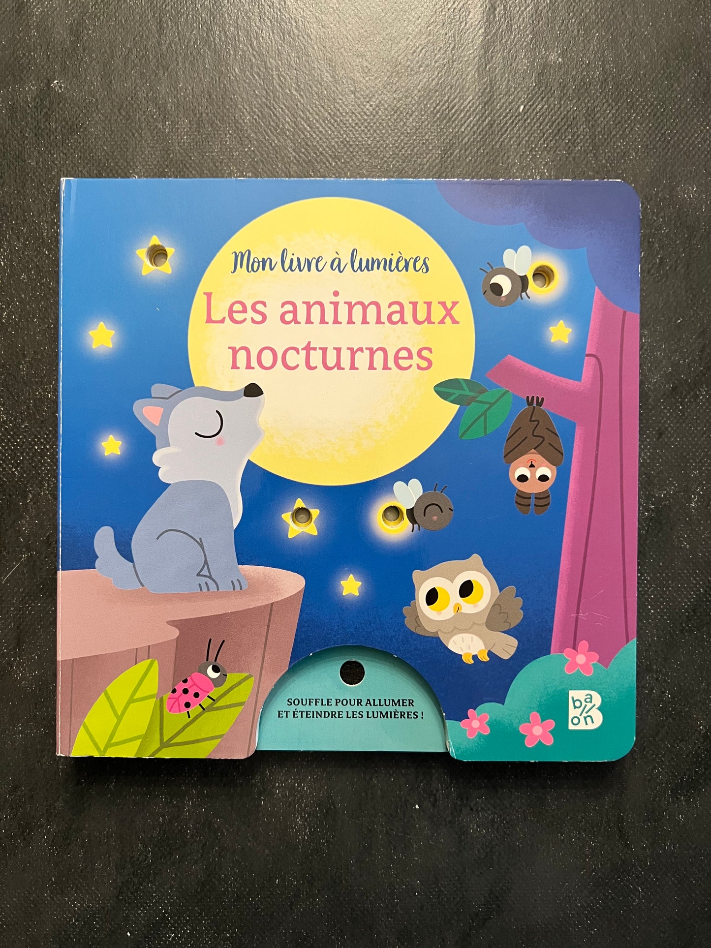 Mon livre à lumières - les animaux nocturnes