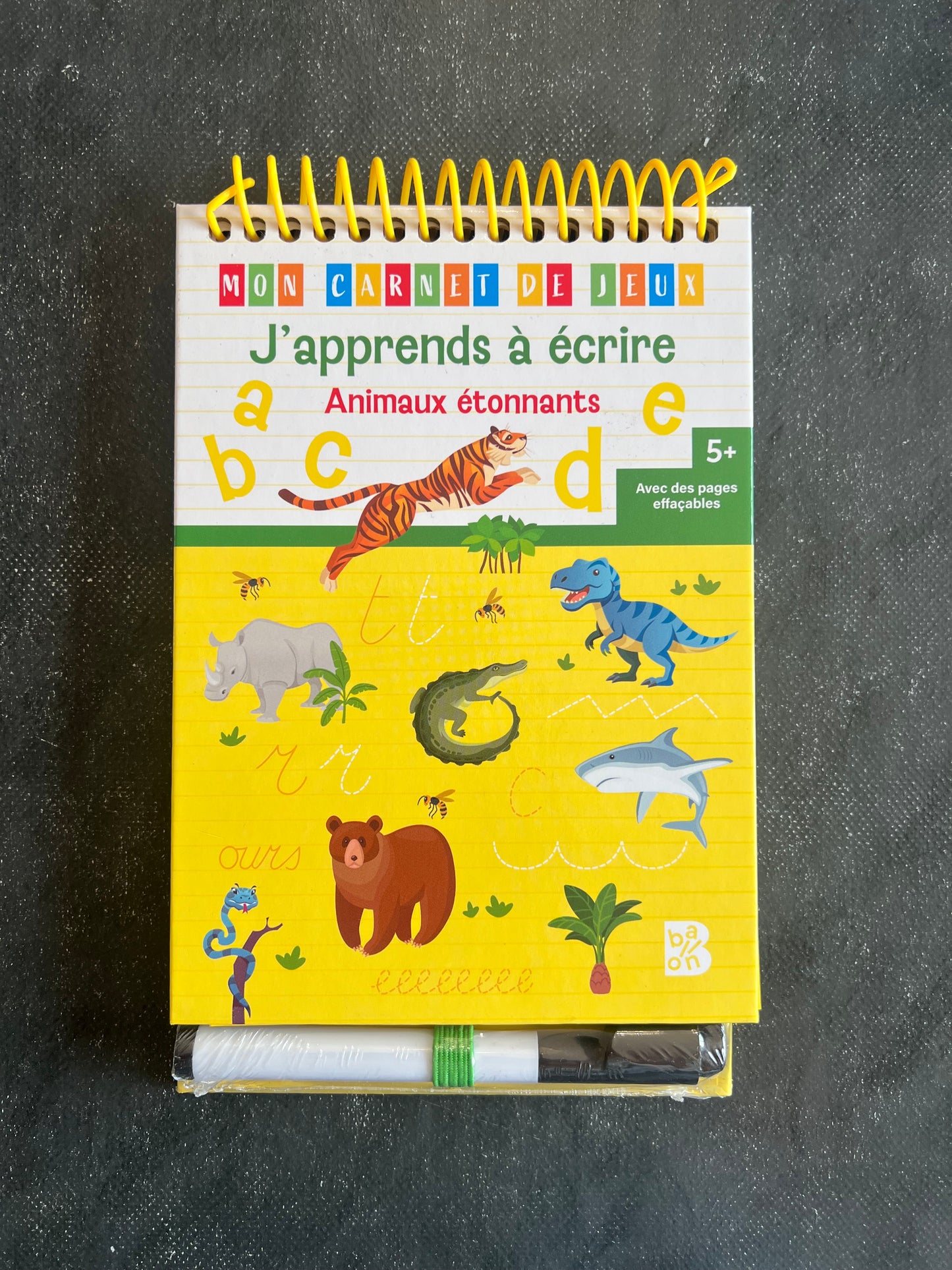 Mon carnet de jeux - animaux étonnants - dès 5 ans