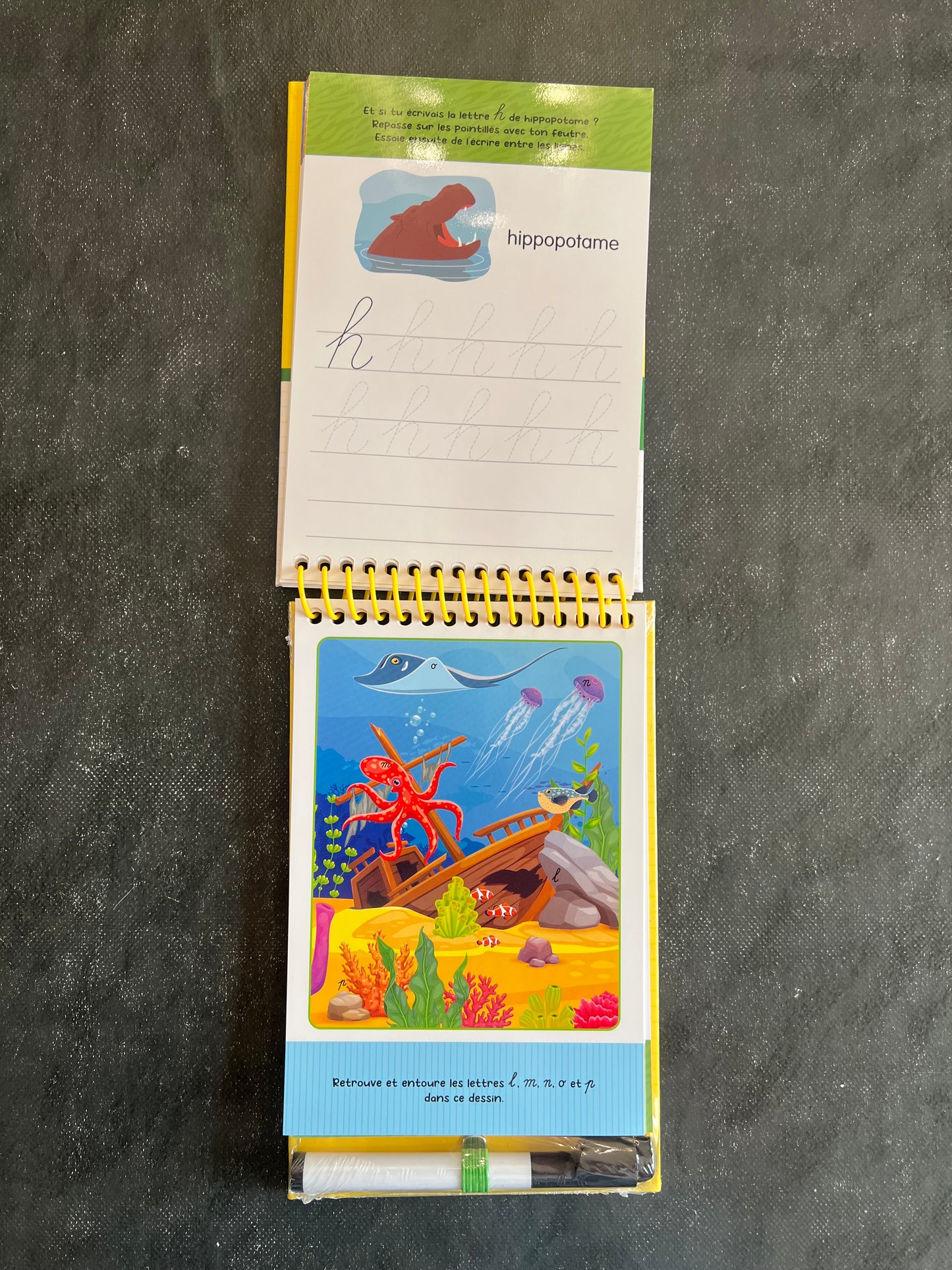 Mon carnet de jeux - animaux étonnants - dès 5 ans