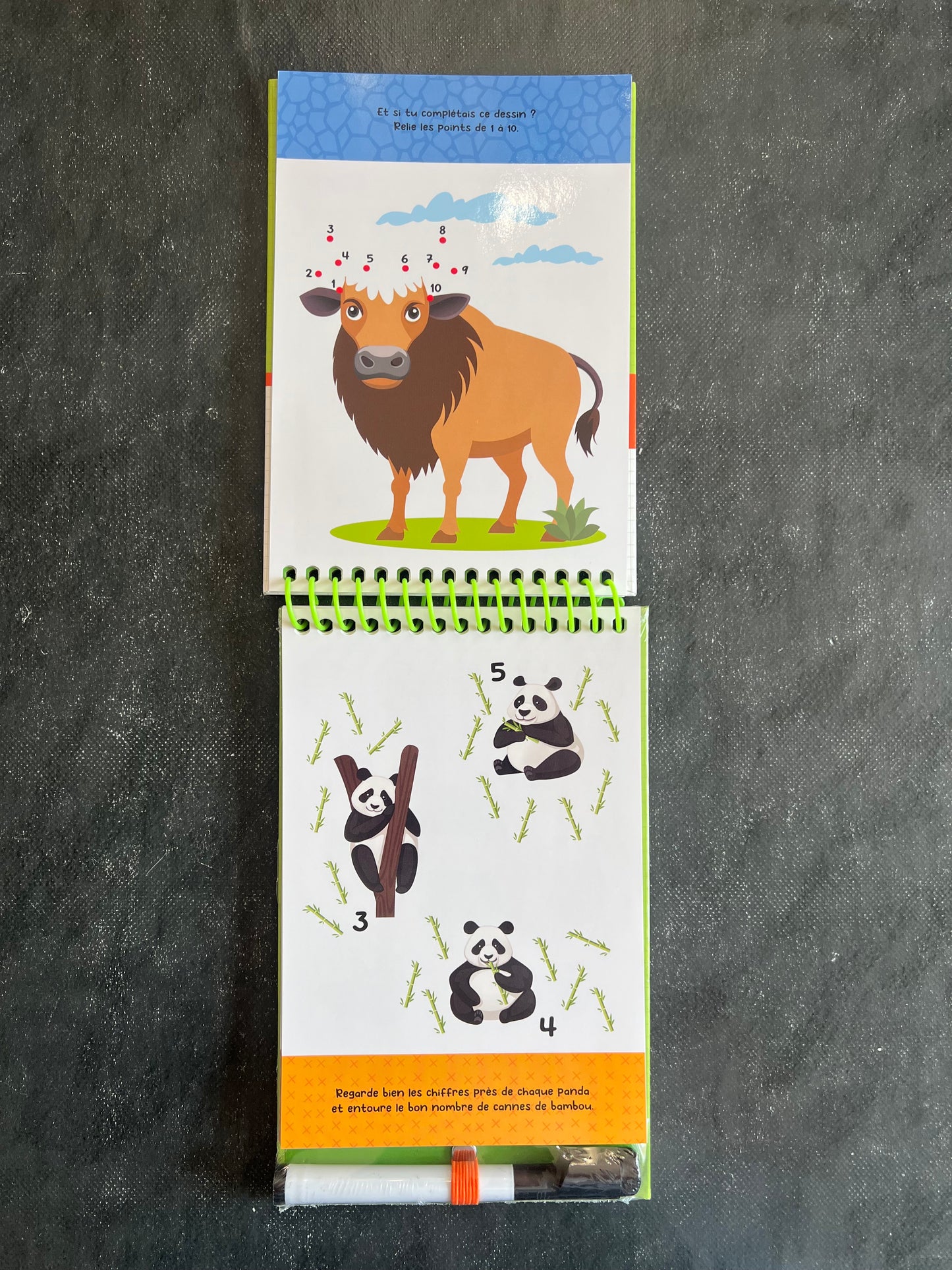 Mon carnet de jeux - animaux étonnants - dès 4 ans