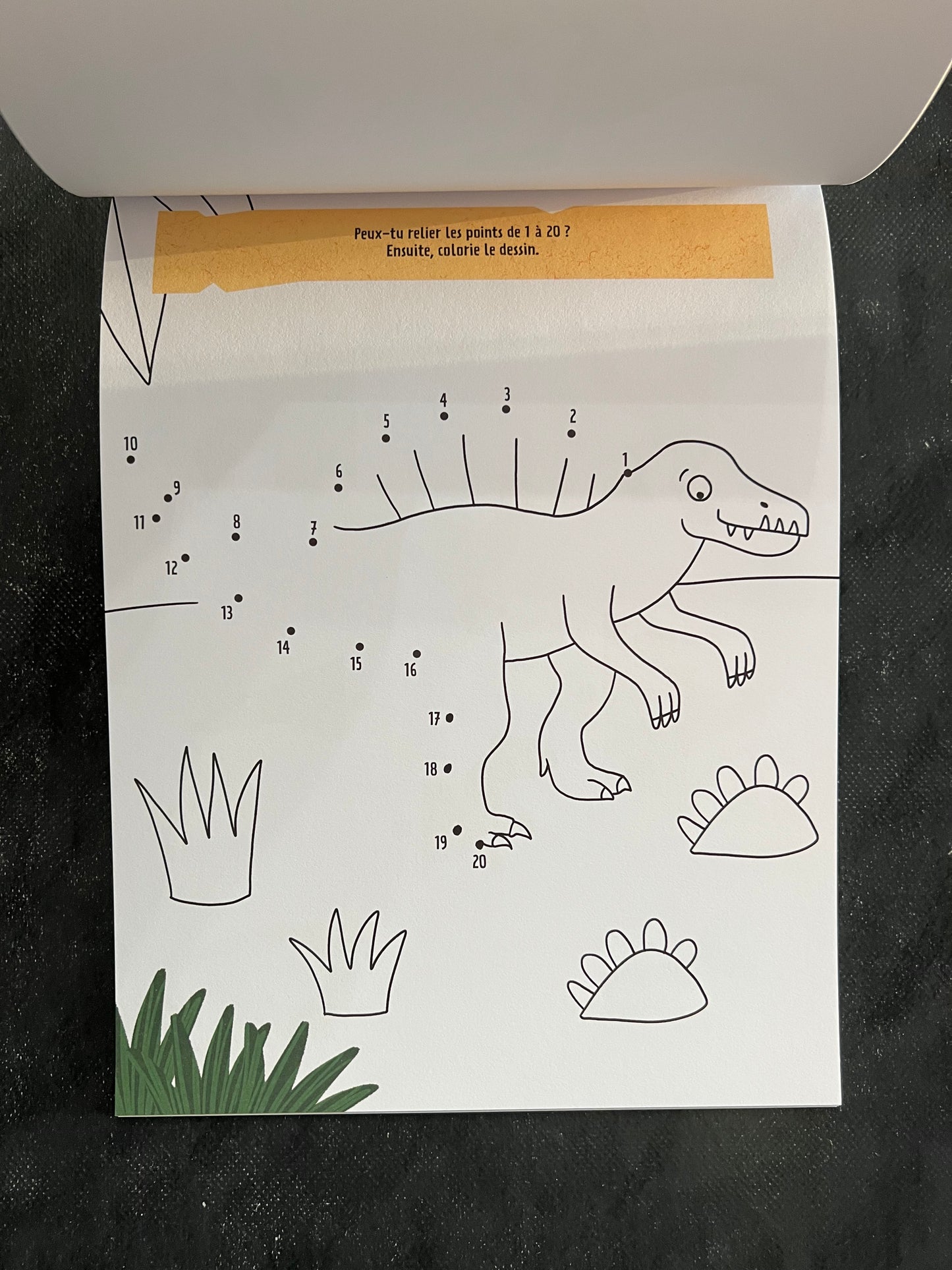 Je joue et je colorie - les dinosaures