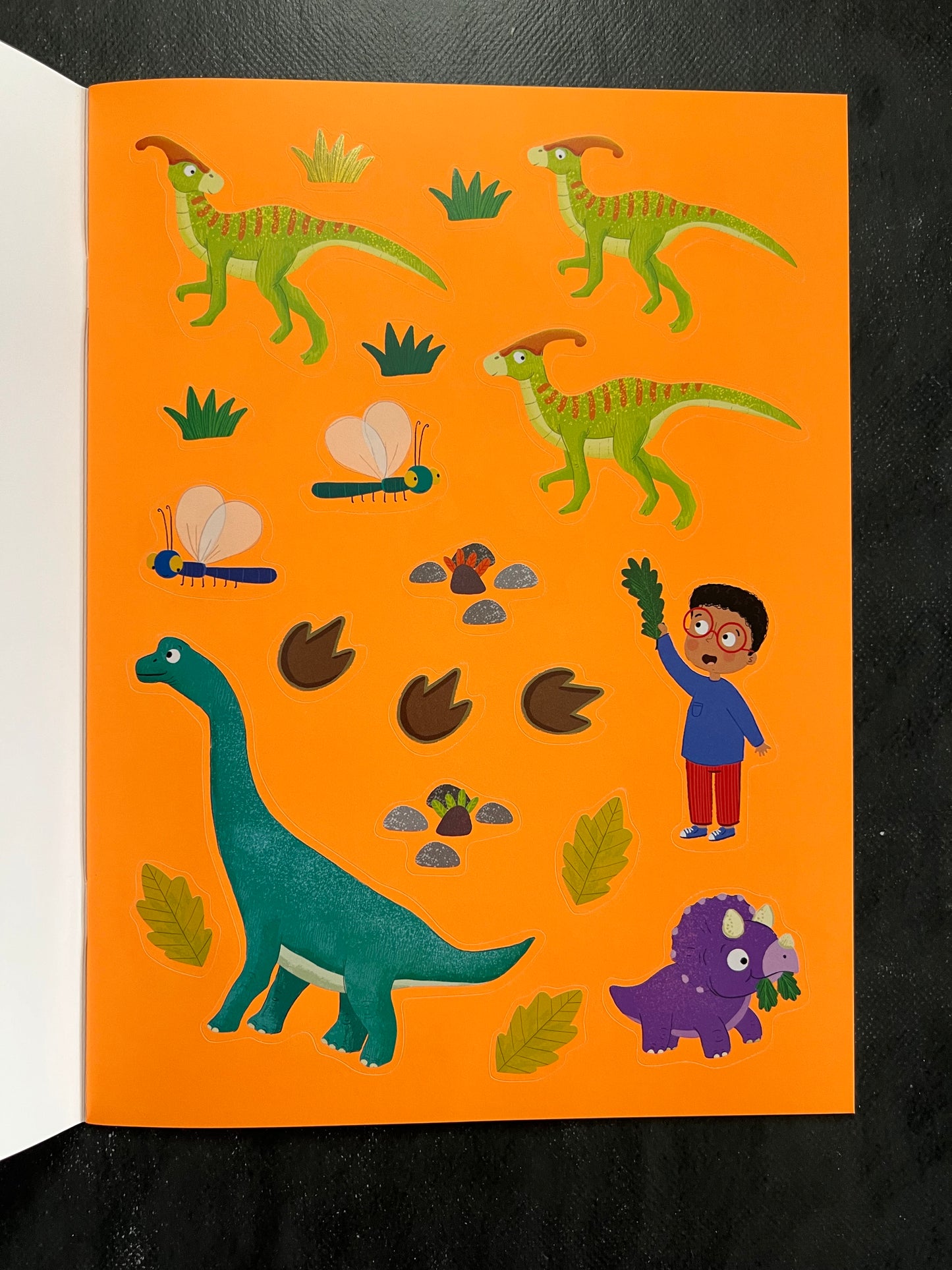 Je colorie et j'apprends - les dinosaures (Copie)