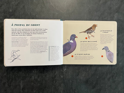 Livre sonore - les chants d'oiseaux