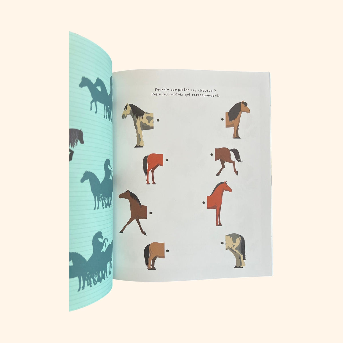 Mon cahier de jeux - Chevaux et poneys (5-8 ans)