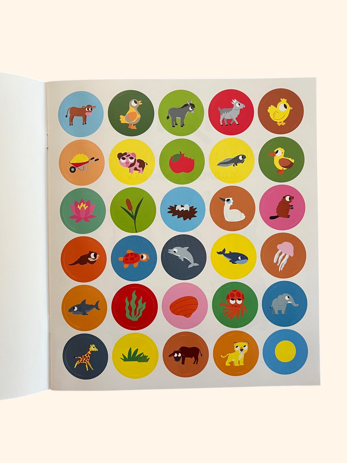 101 choses à trouver et à coller - Les bébés animaux | Dès 3 ans