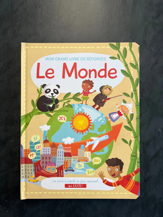 Mon grand livre de réponses - le monde