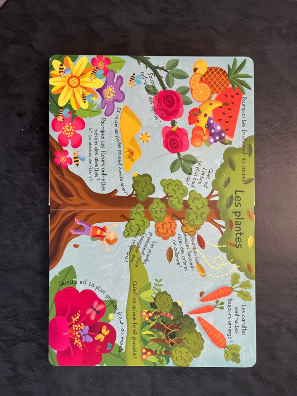 Mon grand livre de réponses - le monde