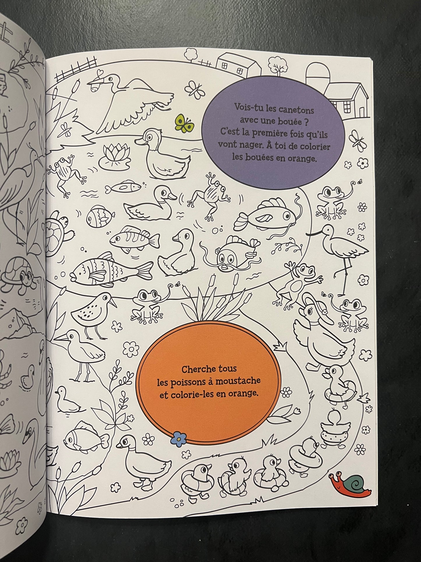 Cherche et colorie - la ferme