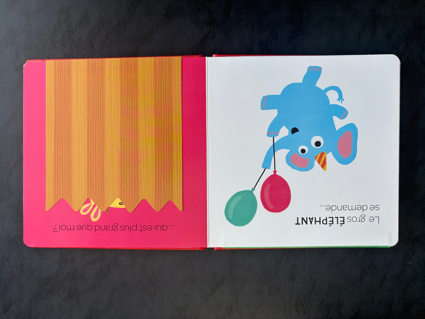 Sous le rabat... me voilà - Animaux sauvages