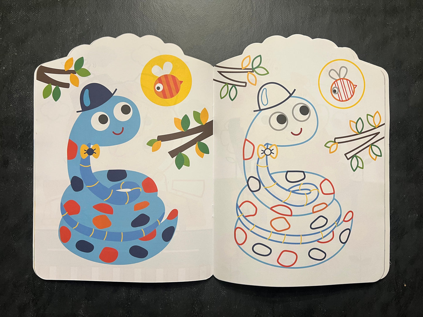 Livre de coloriage - colomaestro